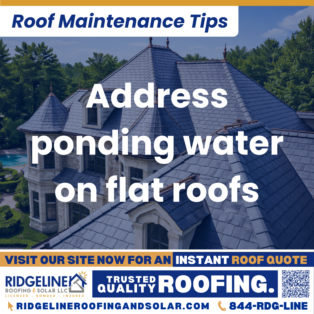 Ridgeline Roofing and Solar Roof Maintenance Tip for Homeowners: Address ponding water on flat roofs