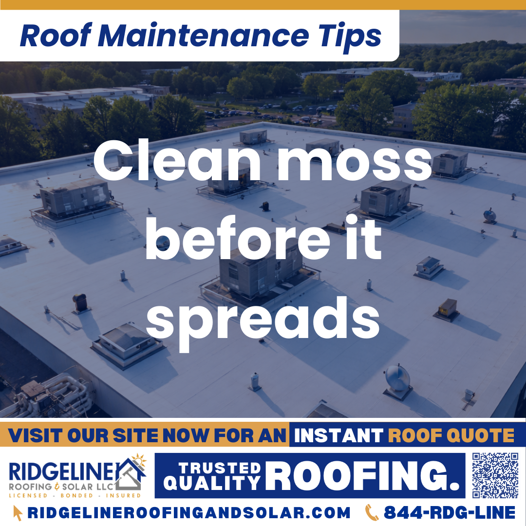 Ridgeline Roofing and Solar Roof Maintenance Tip for Homeowners: Clean moss before it spreads