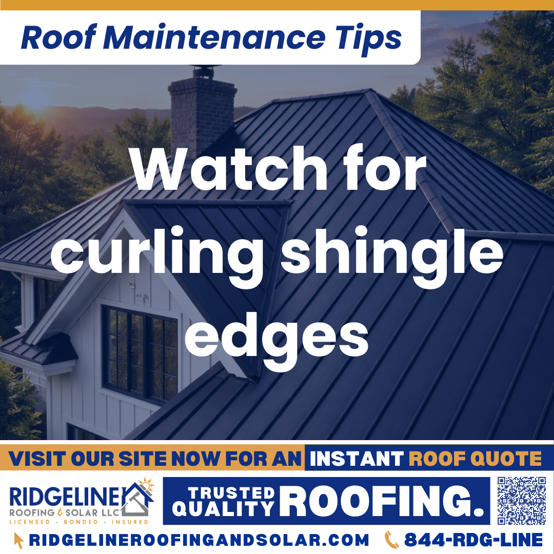 Ridgeline Roofing and Solar Roof Maintenance Tip for Homeowners: Watch for curling shingle edges
