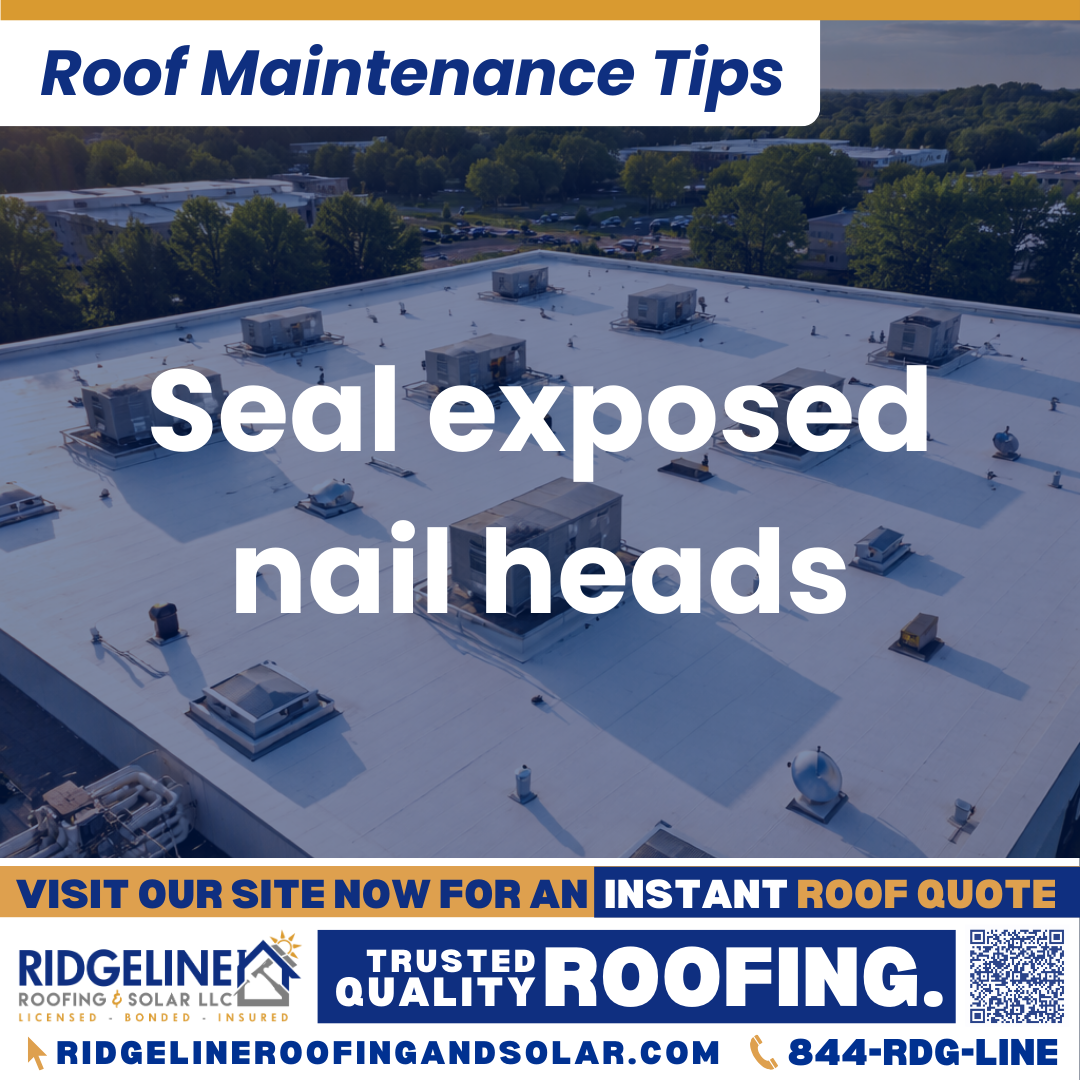 Ridgeline Roofing and Solar Roof Maintenance Tip for Homeowners: Seal exposed nail heads