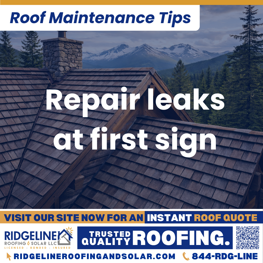 Ridgeline Roofing and Solar Roof Maintenance Tip for Homeowners: Repair leaks at first sign