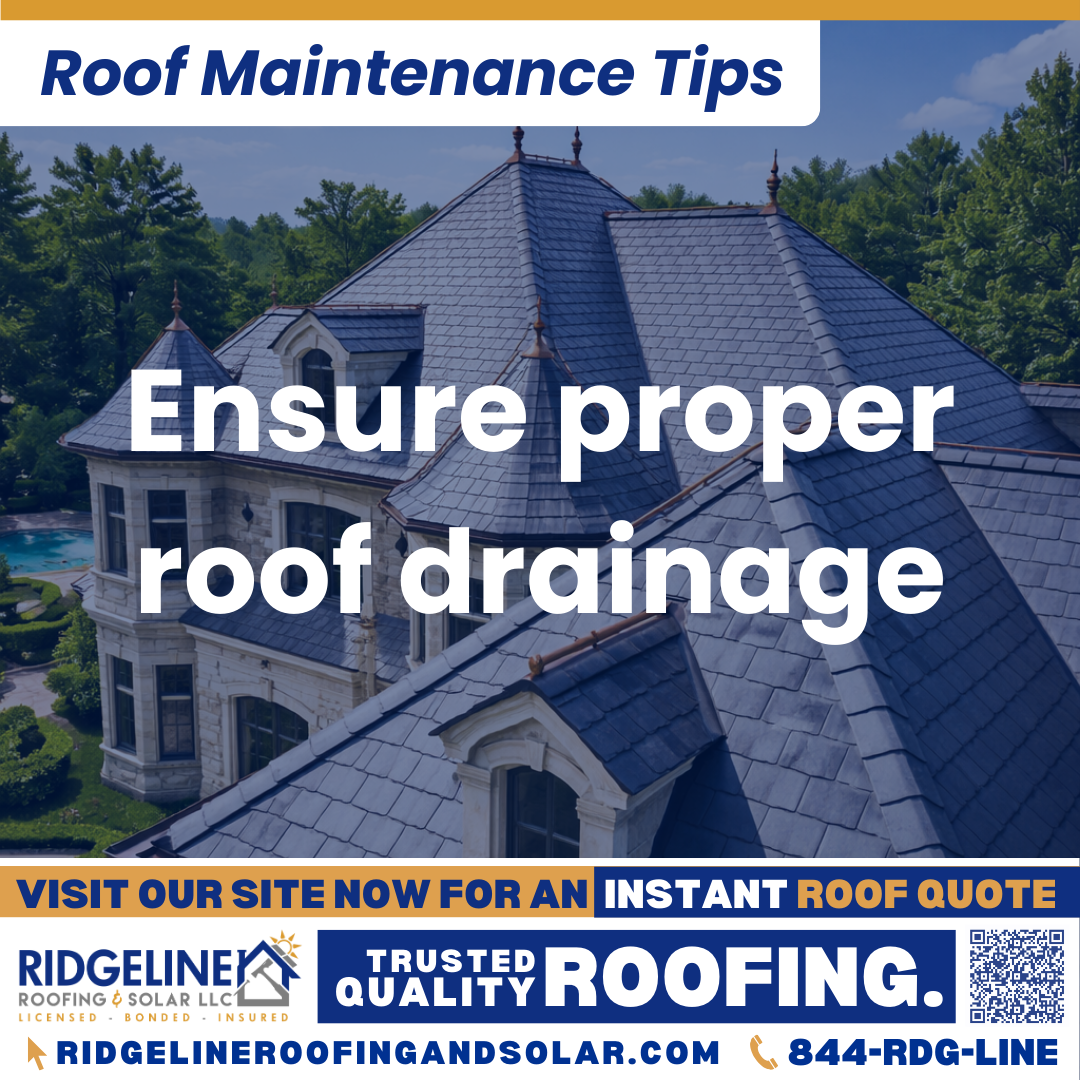 Ridgeline Roofing and Solar Roof Maintenance Tip for Homeowners: Ensure proper roof drainage