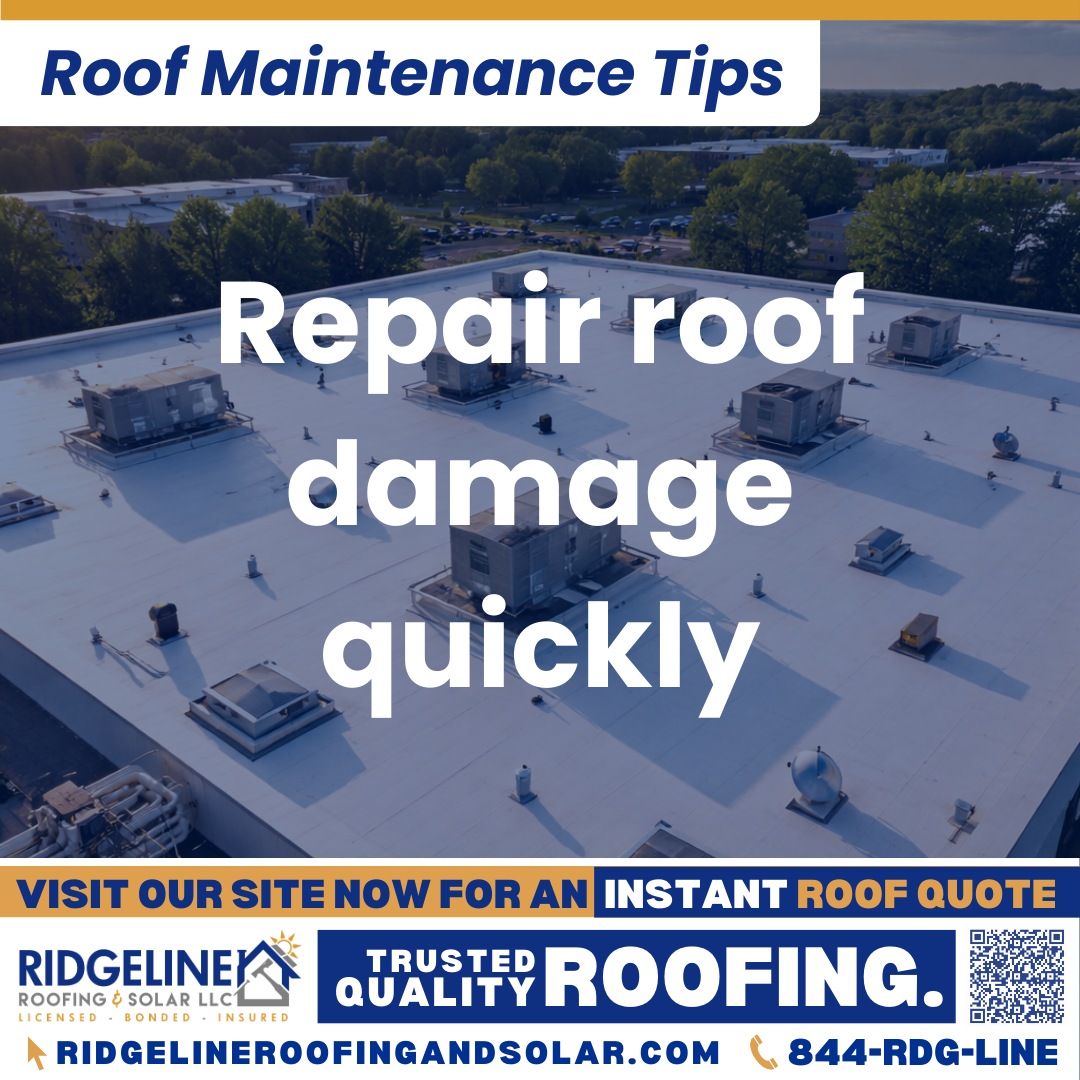 Ridgeline Roofing and Solar Roof Maintenance Tip for Homeowners: Repair roof damage quickly