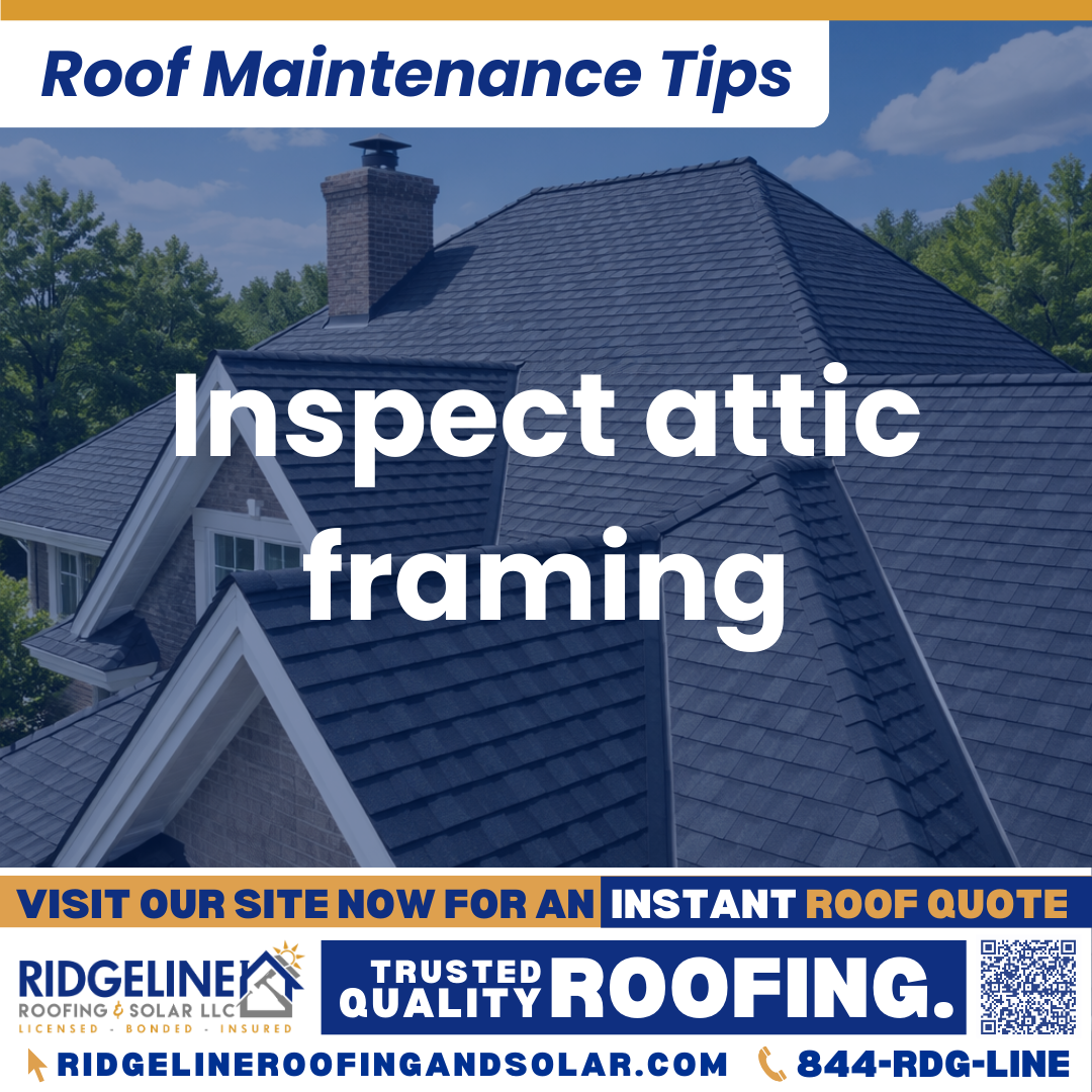 Inspect attic framing Ridgeline Roofing and Solar Roof Maintenance Tip for Homeowners: Inspect attic framing