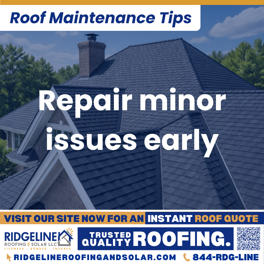 Repair minor issues early Ridgeline Roofing and Solar Roof Maintenance Tip for Homeowners: Repair minor issues early