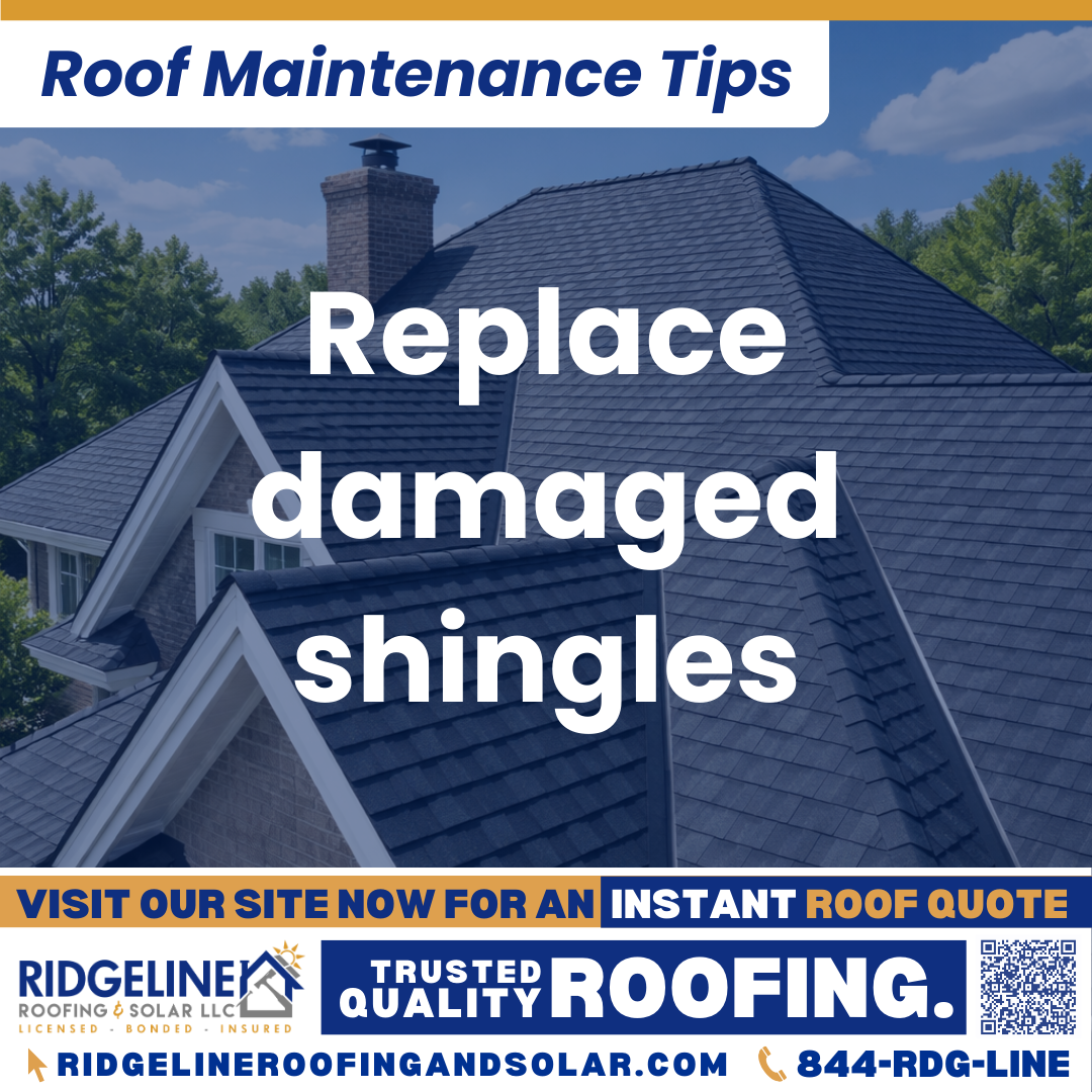 Ridgeline Roofing and Solar Roof Maintenance Tip for Homeowners: Replace damaged shingles