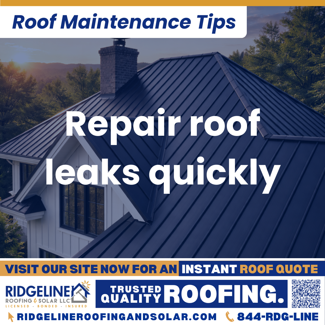 Ridgeline Roofing and Solar Roof Maintenance Tip for Homeowners: Repair roof leaks quickly