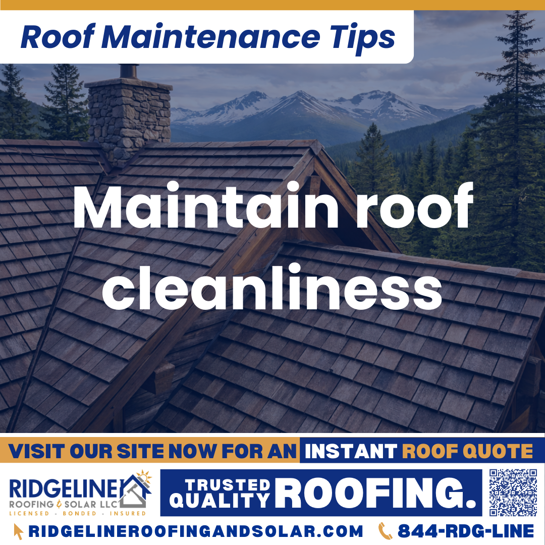 Ridgeline Roofing and Solar Roof Maintenance Tip for Homeowners: Maintain roof cleanliness