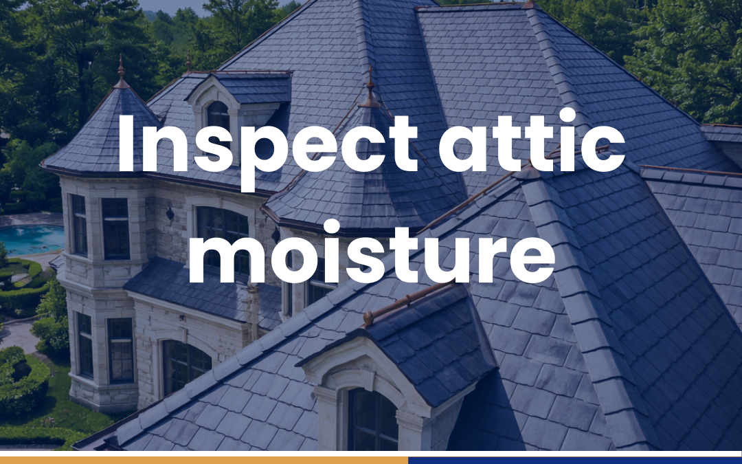 Inspect attic moisture