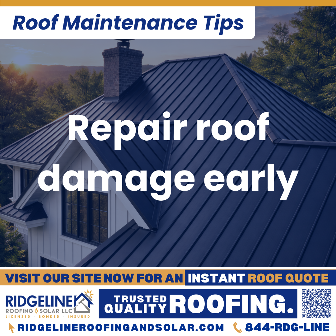 Ridgeline Roofing and Solar Roof Maintenance Tip for Homeowners: Repair roof damage early