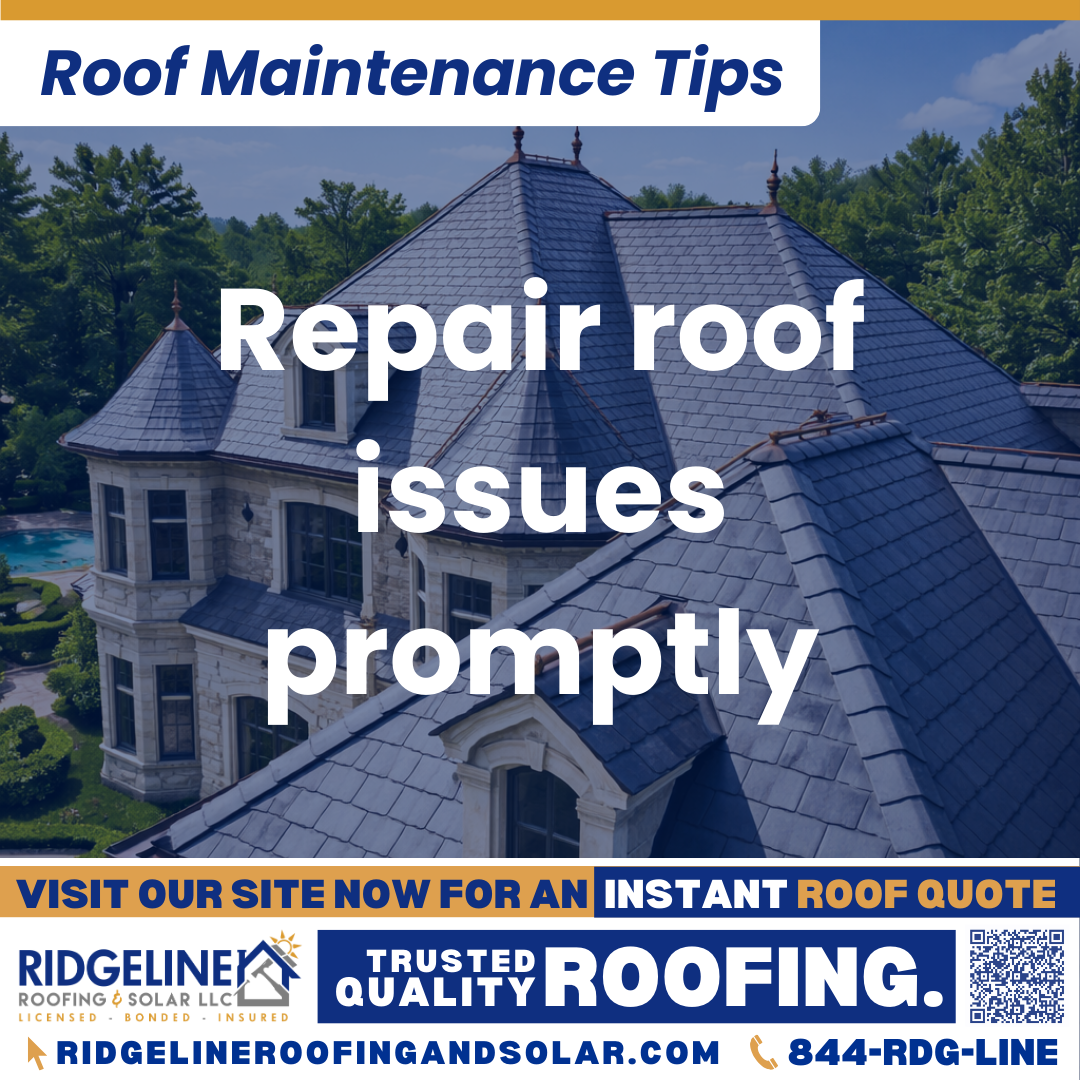 Ridgeline Roofing and Solar Roof Maintenance Tip for Homeowners: Repair roof issues promptly