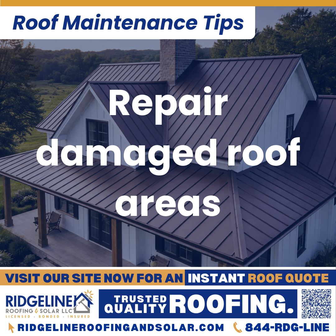 Ridgeline Roofing and Solar Roof Maintenance Tip for Homeowners: Repair damaged roof areas
