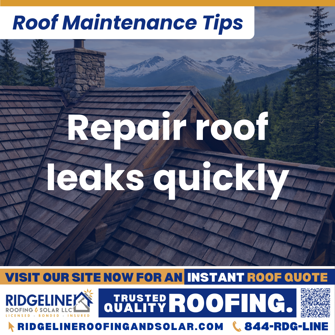 Repair roof leaks quickly Ridgeline Roofing and Solar Roof Maintenance Tip for Homeowners: Repair roof leaks quickly