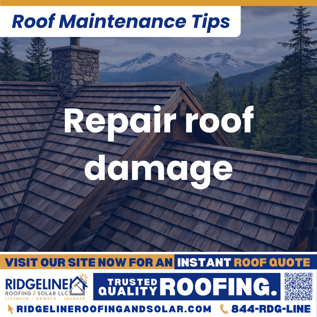 Ridgeline Roofing and Solar Roof Maintenance Tip for Homeowners: Repair roof damage