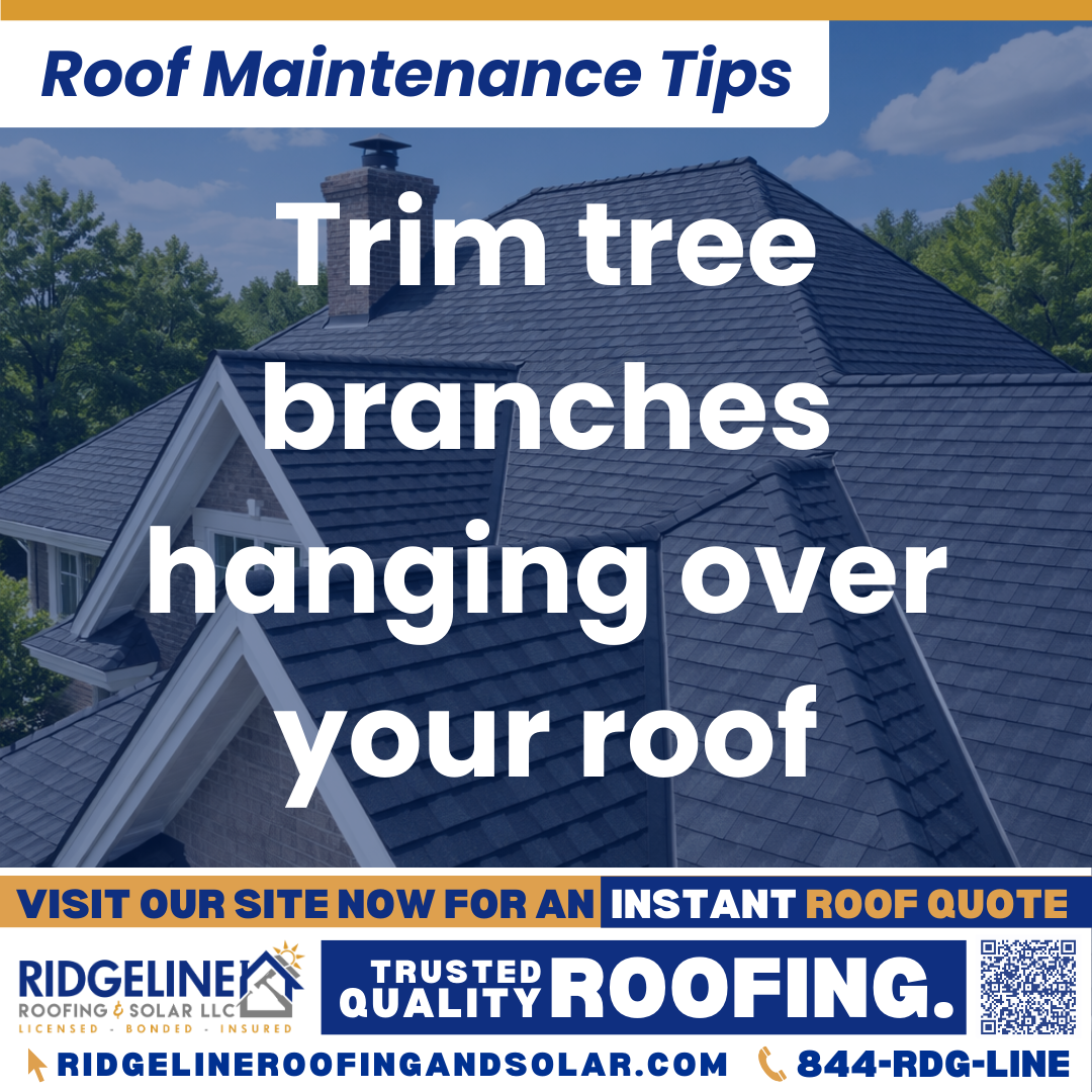 Ridgeline Roofing and Solar Roof Maintenance Tip for Homeowners: Trim tree branches hanging over your roof