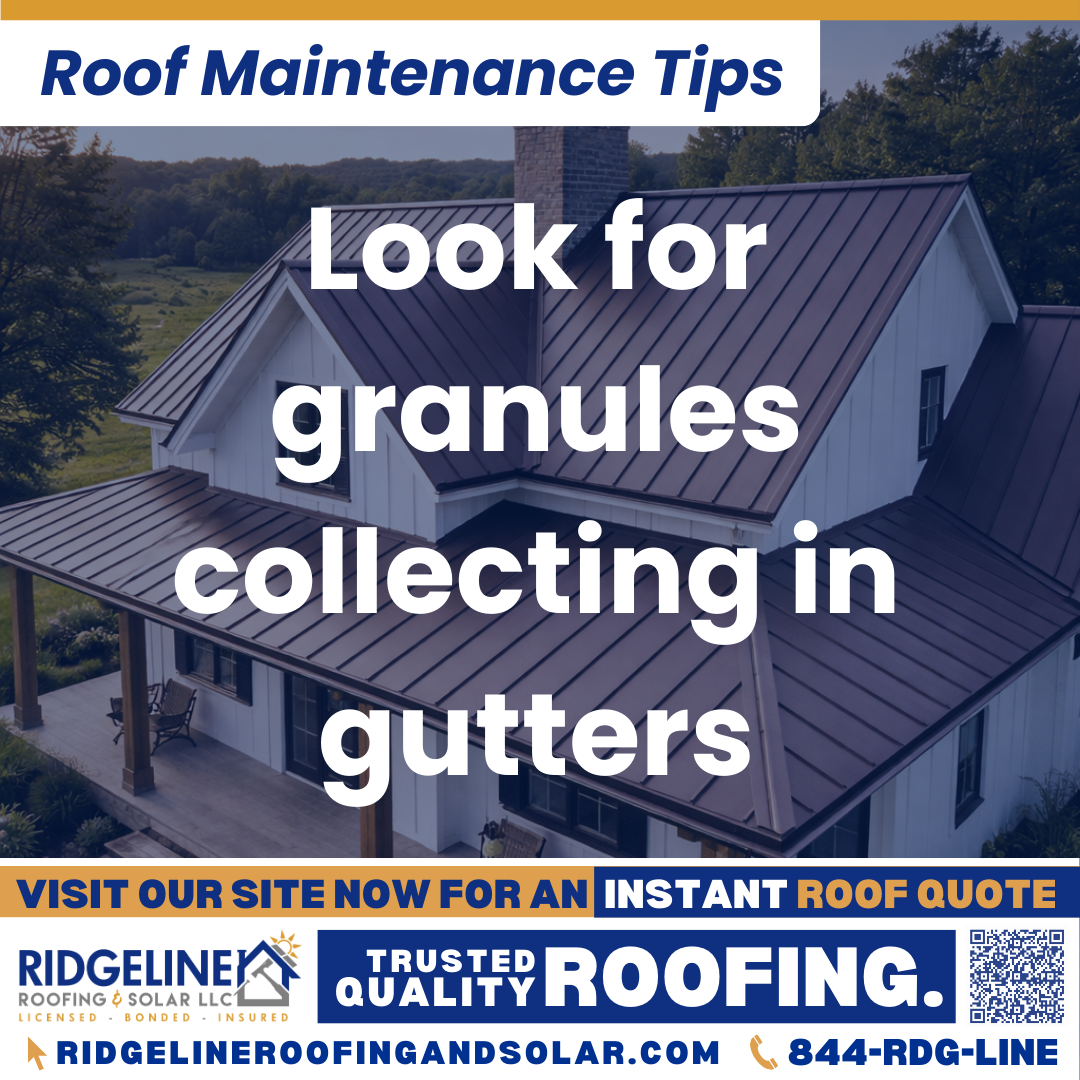 Look for granules collecting in gutters Ridgeline Roofing and Solar Roof Maintenance Tip for Homeowners: Look for granules collecting in gutters