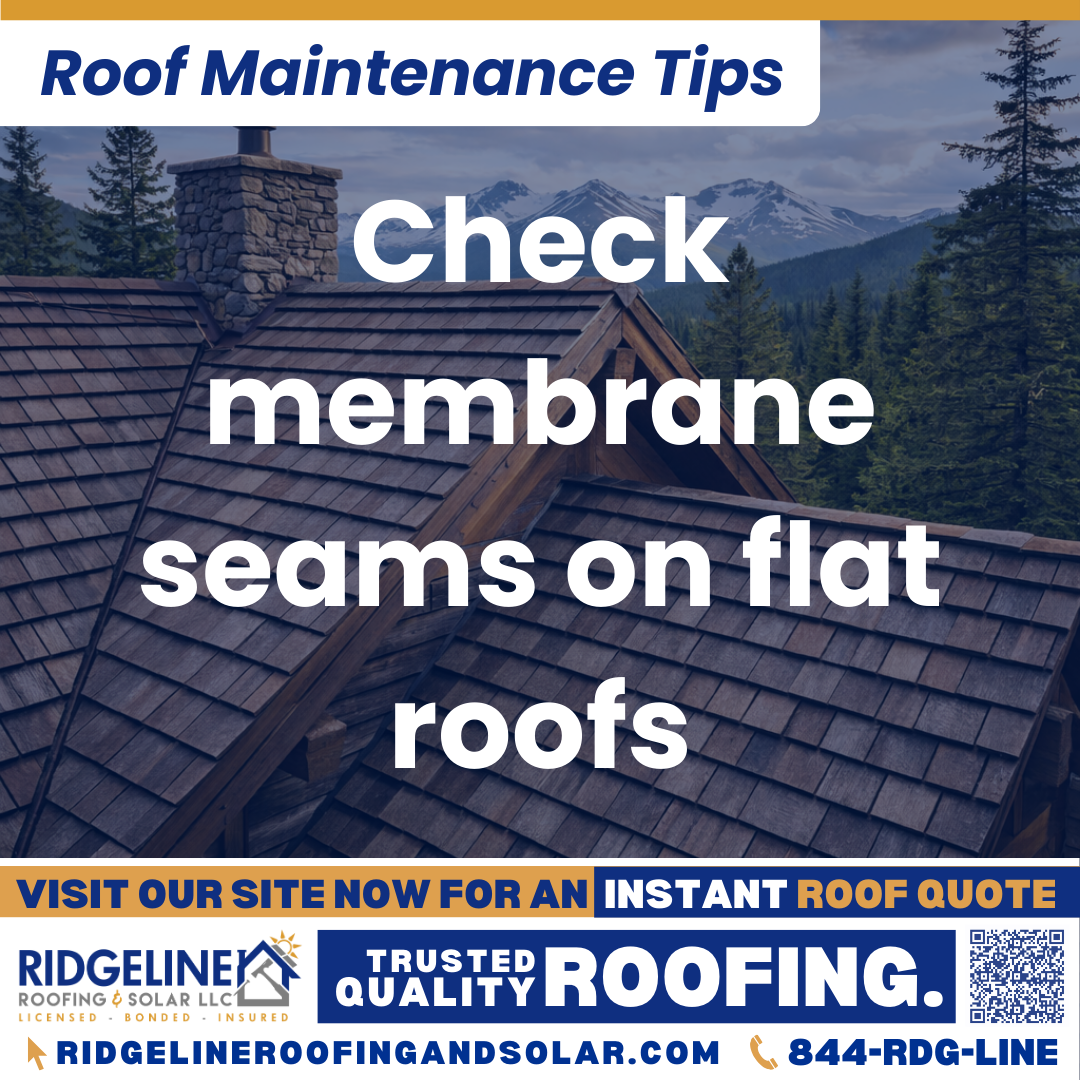 Ridgeline Roofing and Solar Roof Maintenance Tip for Homeowners: Check membrane seams on flat roofs