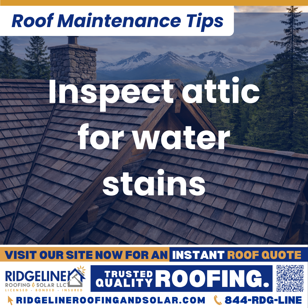 Ridgeline Roofing and Solar Roof Maintenance Tip for Homeowners: Inspect attic for water stains