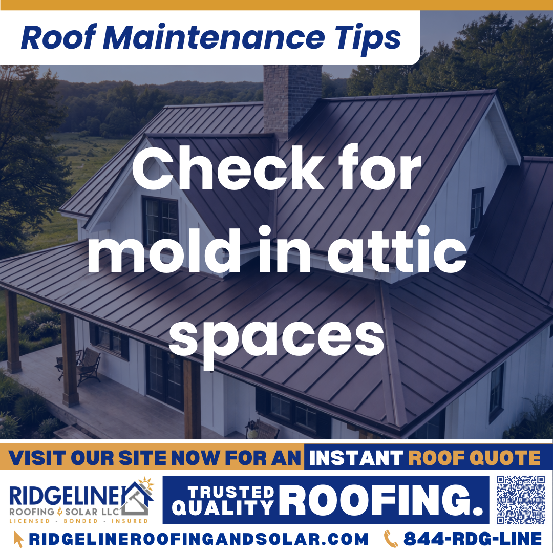 Ridgeline Roofing and Solar Roof Maintenance Tip for Homeowners: Check for mold in attic spaces