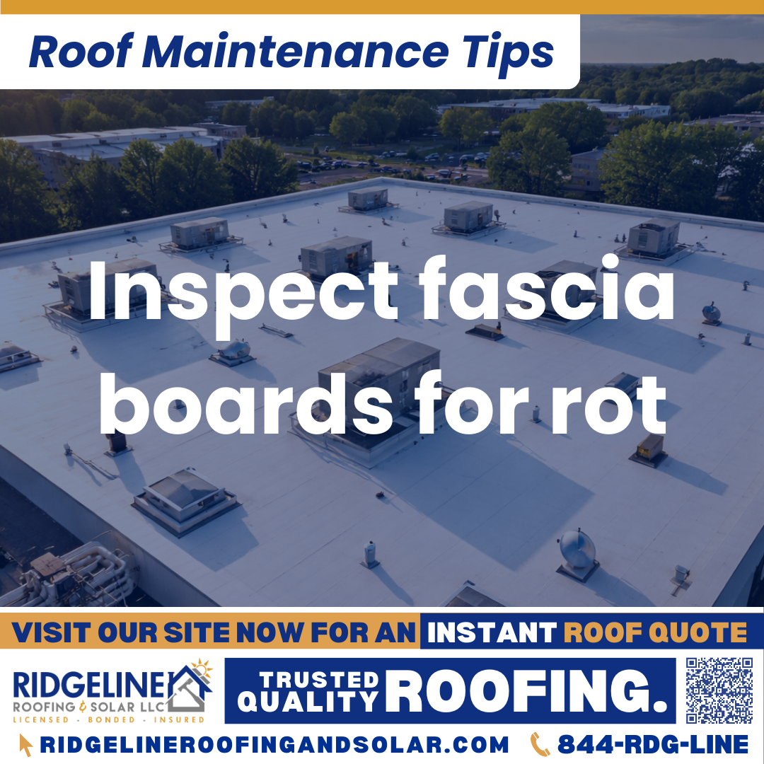 Ridgeline Roofing and Solar Roof Maintenance Tip for Homeowners: Inspect fascia boards for rot